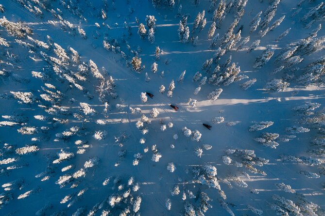 Thrill of Snowmobiling for Adults Only - The Ride: Moving Through Lapland With Few Stops