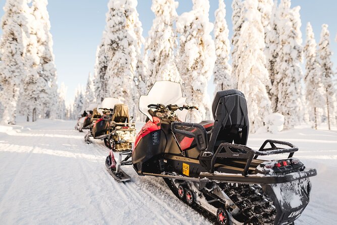 Thrill of Snowmobiling for Adults Only - Price, Damage Risk, and Overall Value