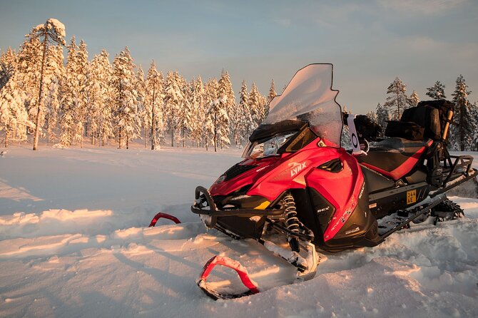 Thrill of Snowmobiling for Adults Only - Who Should Choose This Safari?
