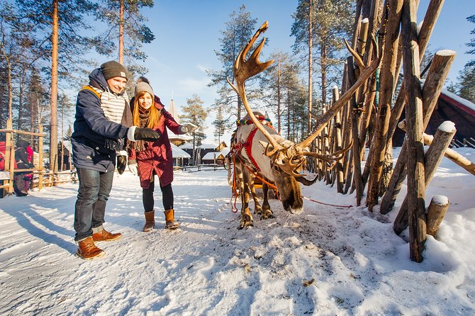 Trip to Arctic Circle, Santa Claus Village and Santas Reindeer - The snowmobile museum adds a different kind of interest