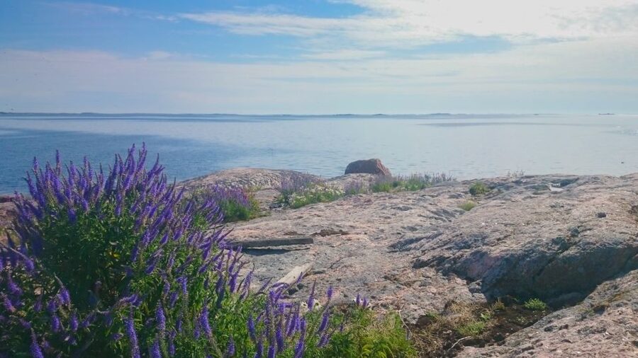 Turku Archipelago: Sea Kayaking Day Tour - Paddling through the Turku and Naantali archipelago