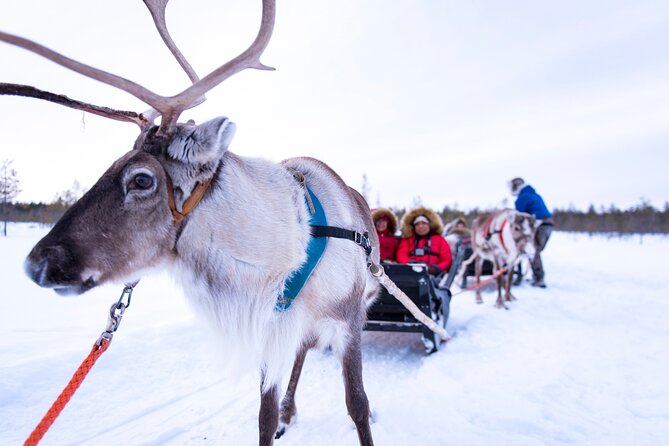 Two Full Days in Lapland - Day 1 Evening: A Forecast-Based Northern Lights Hunt