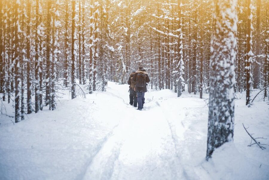 Vikakongas Hike: Nature and Silence - From Rovaniemi to the Vikakongas trail
