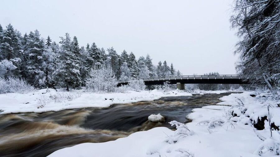 Vikakongas Hike: Nature and Silence - Walking the snowy forest loop