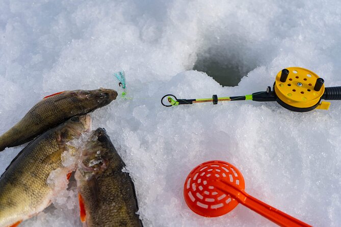 VIP Ice Fishing "ICEBREAKER" Lunch in Glass Igloo - Guides who make the private format worthwhile