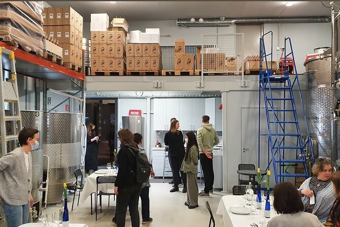 Visit to Authentic Finnish Berry Winery, Tasting Included - What the guide adds to the day
