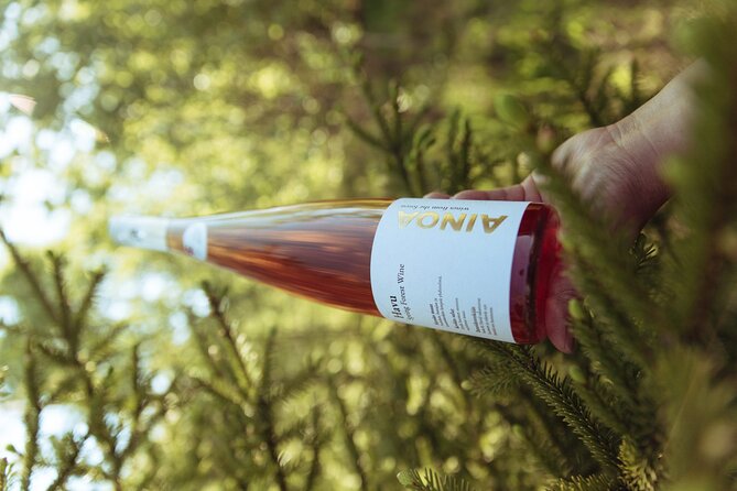 Visit to Authentic Finnish Berry Winery, Tasting Included - Six wines, cheese, and Finnish chocolate