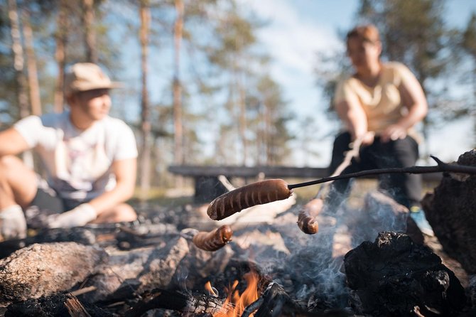 Wild Berries and Mushroom picking tour - Key points about this Rovaniemi forest outing