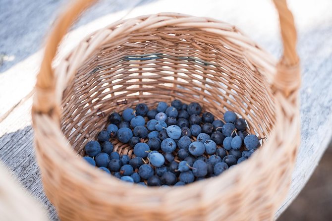 Wild Berries and Mushroom picking tour - The open-fire break with coffee and local snacks