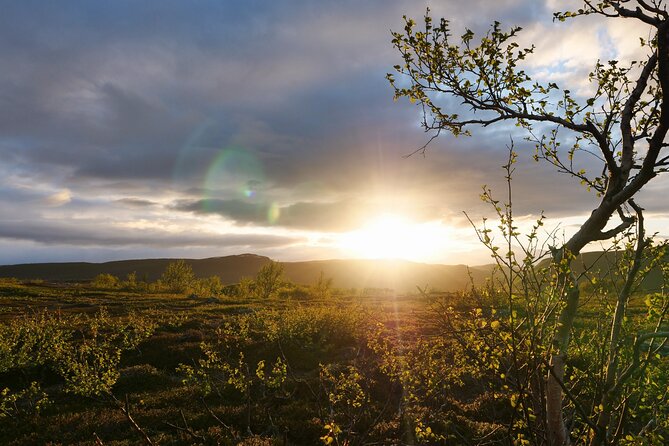 Wild Food & Foraging Hike with Open Fire Lunch - Key details about the Ivalo foraging hike