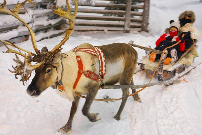 Wild Reindeers Safari + Lunch in Glass Igloo (private service) - Is $298.93 per person a fair price?