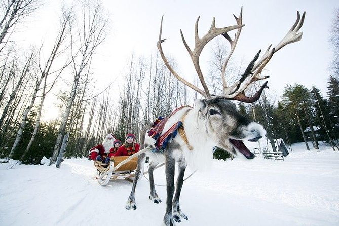 Wild Reindeers Safari + Lunch in Glass Igloo (private service) - Warm gear makes the cold easier