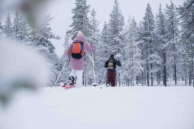Wilderness snowshoe adventure - Leaving Rovaniemi for the Arctic forest