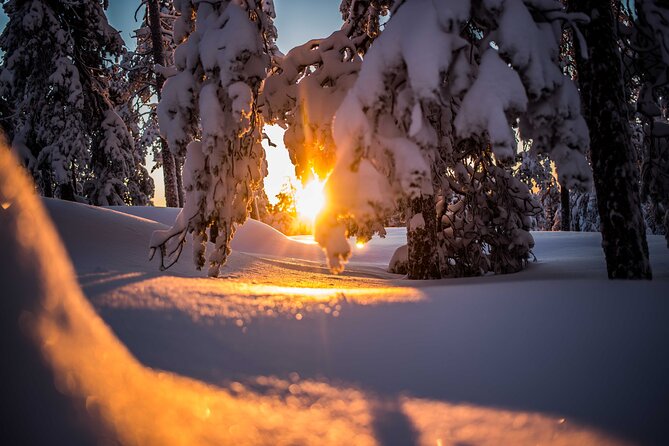 Wilderness snowshoe adventure - Learning Arctic photography without a lecture
