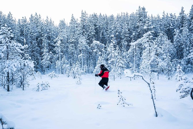 Wilderness snowshoe adventure - What the three-hour schedule means