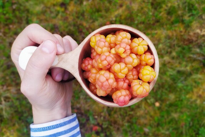 Wilderness Survival Tour - Summer & Autumn - What the tour teaches, and what it does not