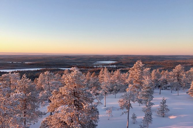 Wilderness Survival Tour - Winter - Reading the snow for signs of wildlife