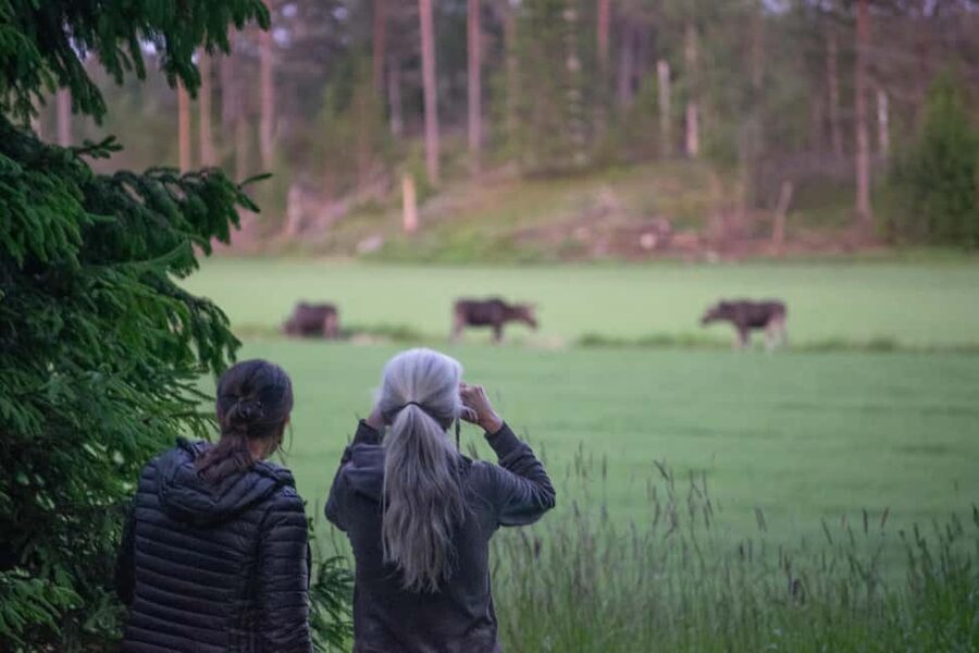 Wildlife safari with campfire dinner from Helsinki - From central Helsinki to the Porkkala Peninsula