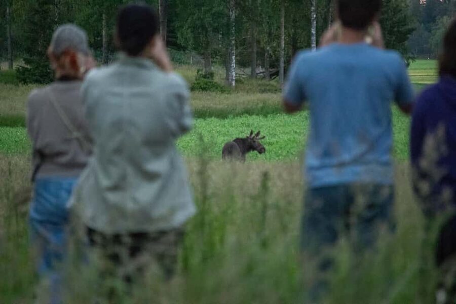Wildlife safari with campfire dinner from Helsinki - The campfire by the sea