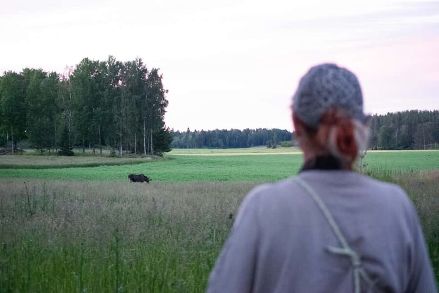Wildlife safari with campfire dinner from Helsinki - Should you book the Helsinki wildlife safari?