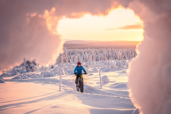 Winter afternoon group Ride in Saariselkä - The quick road ride toward Urho Kekkonen National Park