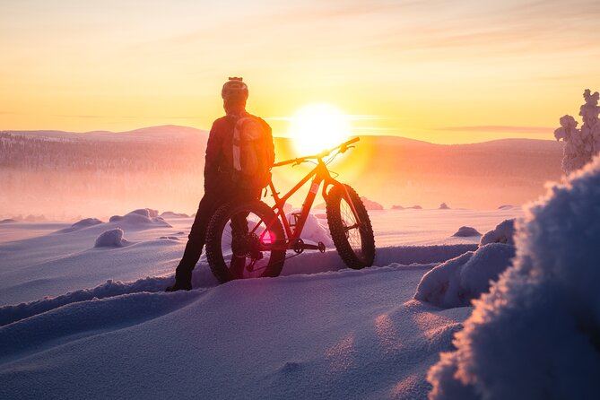 Winter afternoon group Ride in Saariselkä - What the $161 price really buys you