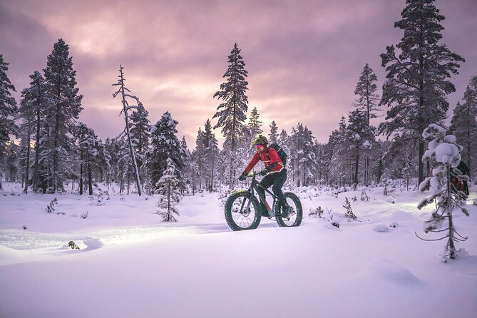 Winter afternoon group Ride in Saariselkä - Who will enjoy this Saariselkä ride?