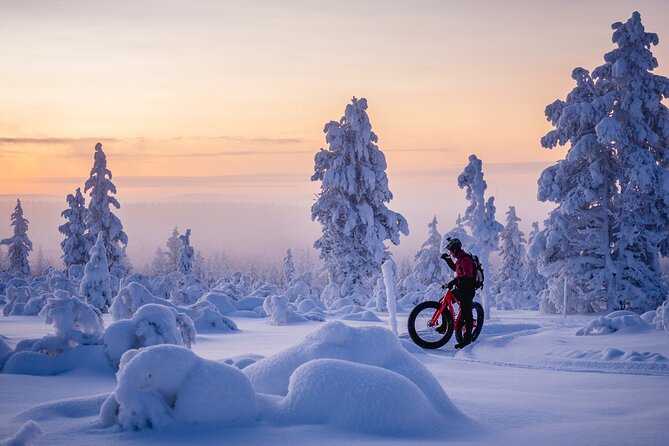 Winter afternoon group Ride in Saariselkä - Practical details that affect your decision