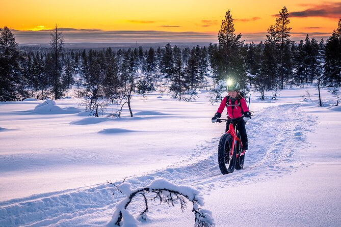 Winter afternoon group Ride in Saariselkä - Learning to handle an e-fatbike on snow
