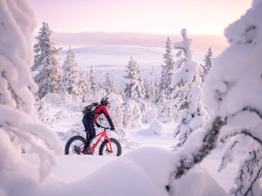Winter Electric Fat bike Experience - Is $218 good value for two hours?