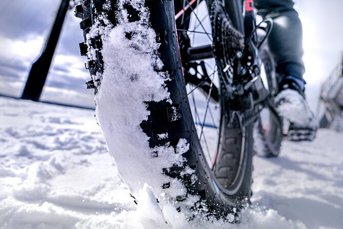 Winter Fatbiking in Ivalo (2 hours) - What this Ivalo fatbike tour really offers
