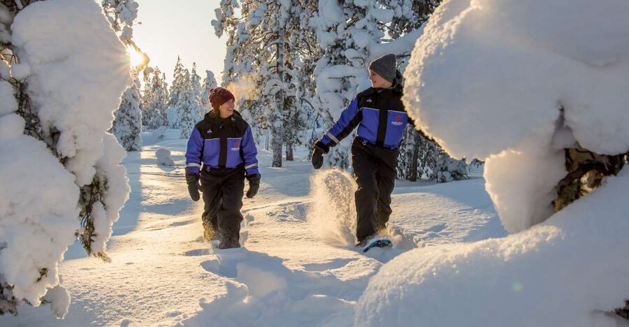 Ylläs: Forest Hike with Snowshoes - Following animal tracks through snowy woods